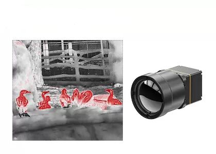 3 Axis LWIR Thermal Camera Core With 8~14μM Spectral Range For Robots