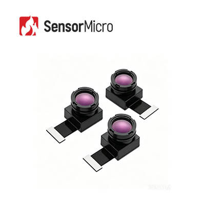 Uncooled LWIR Thermal Security Camera Module with 256x192 Resolution, 12μm Pixel Pitch, and Focus Free Design
