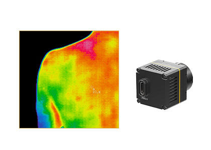 Infrarode de Camerakern van 384x288 17um voor Medische Thermografie