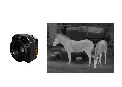 67 g infrarood detector 8 μm-14 μm spectraal bereik