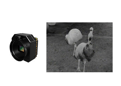 Onverkoelde infrarood thermische beveiligingscameramodule met meerdere lenzen