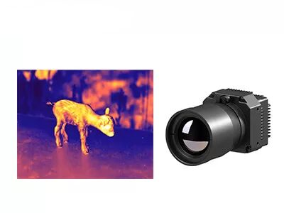 De Modulelwir Hoge Resolutie 1280x1024 van de VOx Ongekoelde infrarode Camera