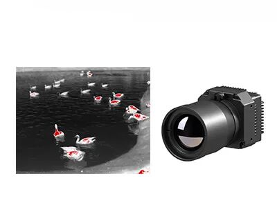 640x512 17μm de Infrarode Thermische Kern van de Cameramodule voor Industriële Thermografie